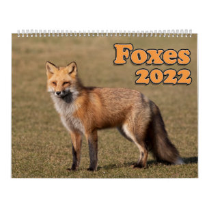 Calendário do Red Fox