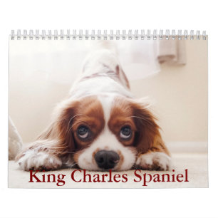 Calendário do Rei Charles Spaniel