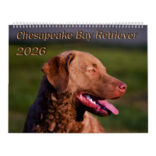 Calendário do Retriever da Baía de Chesapeake 2026