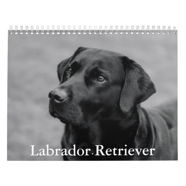 Calendário do Retriever do Labrador (Capa)