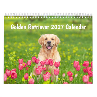 Calendário do Retriever Dourado 2027