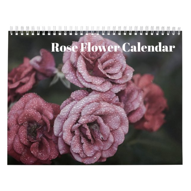 Calendário do rosa Flor 2025 (Capa)