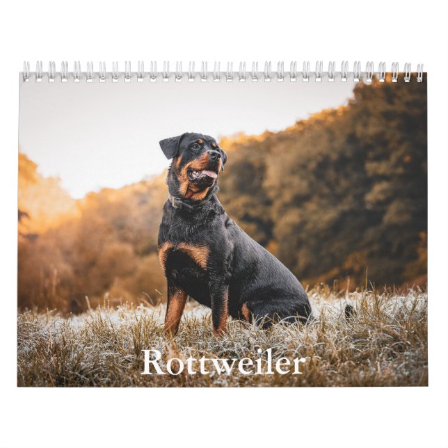 Calendário do Rottweiler (Capa)