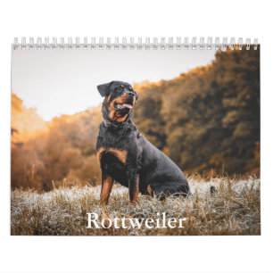 Calendário do Rottweiler