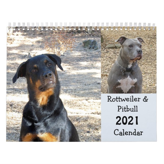 Calendário do Rottweiler e do Pitbull (Capa)