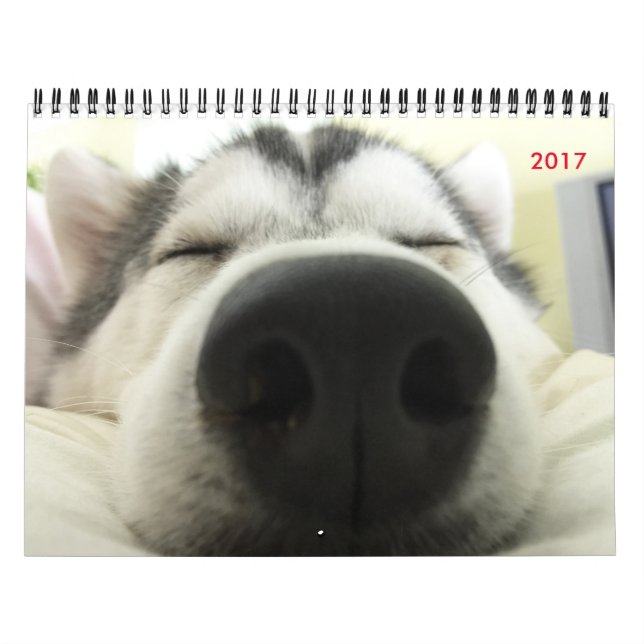 Calendário do rouco Siberian (Capa)