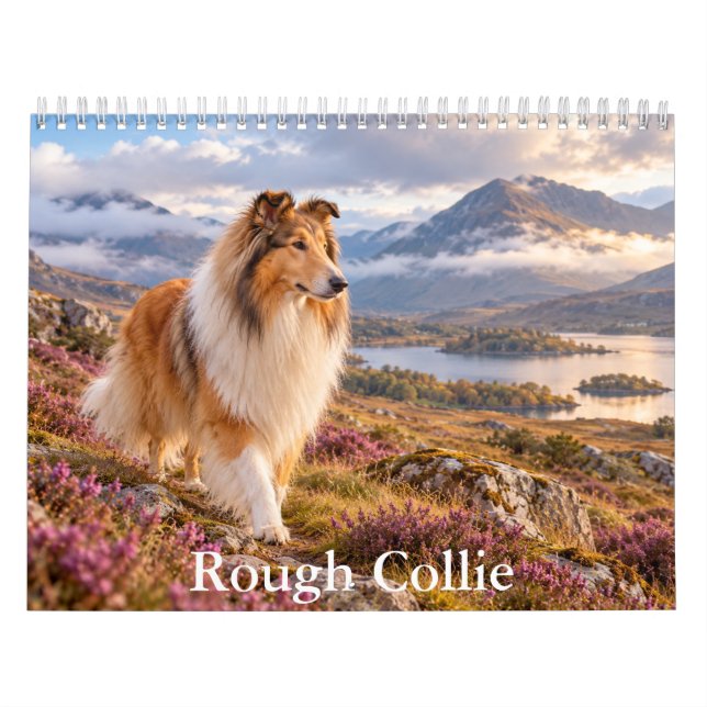 Calendário do Rough Collie (Capa)