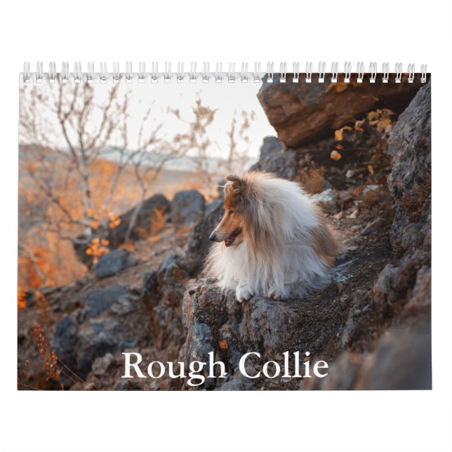 Calendário do Rough Collie (Capa)
