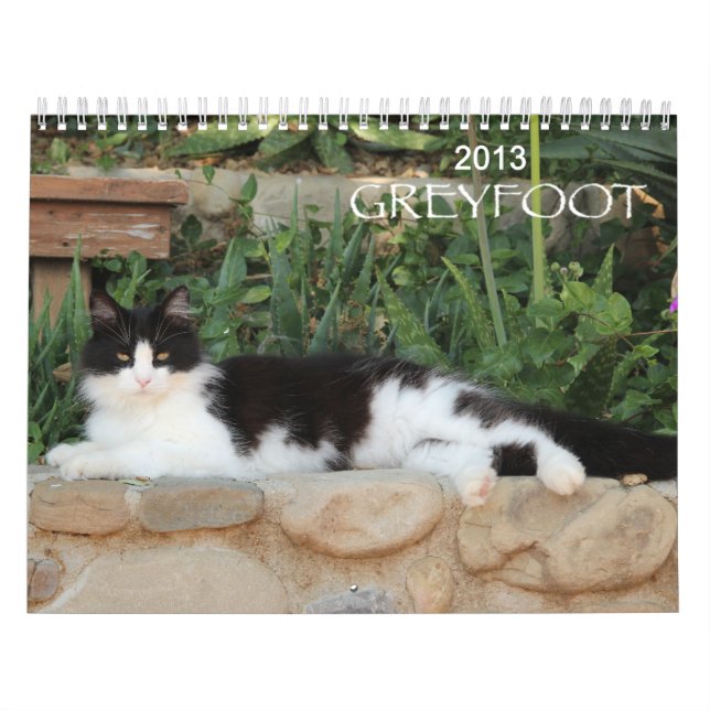 Calendário do salvamento 2013 do gato de Greyfoot (Capa)