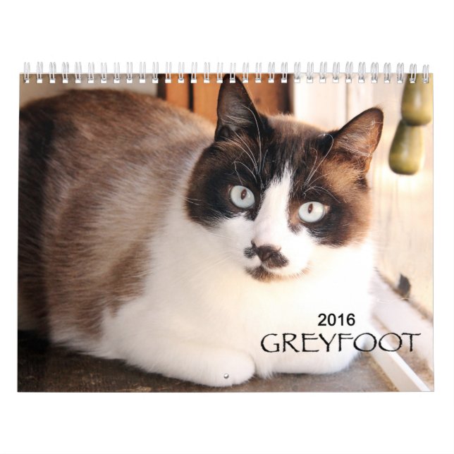 Calendário do salvamento 2016 do gato de Greyfoot (Capa)