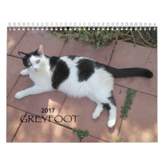 Calendário do salvamento 2017 do gato de Greyfoot