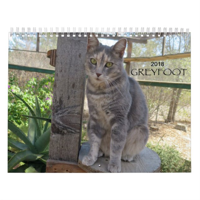 Calendário do salvamento 2018 do gato de Greyfoot (Capa)