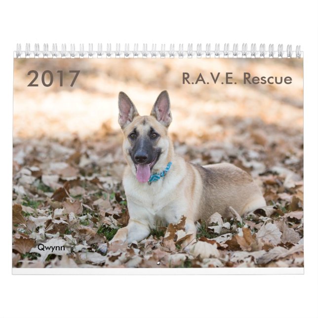 Calendário do salvamento de 2017 R.A.V.E. (Capa)