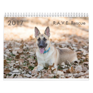 Calendário do salvamento de 2017 R.A.V.E.