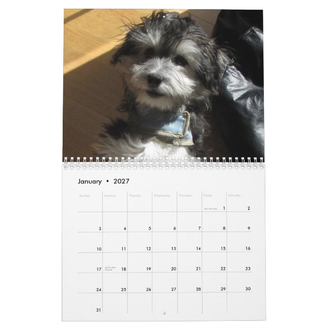 Calendário do salvamento de Havanese (Jan 2027)