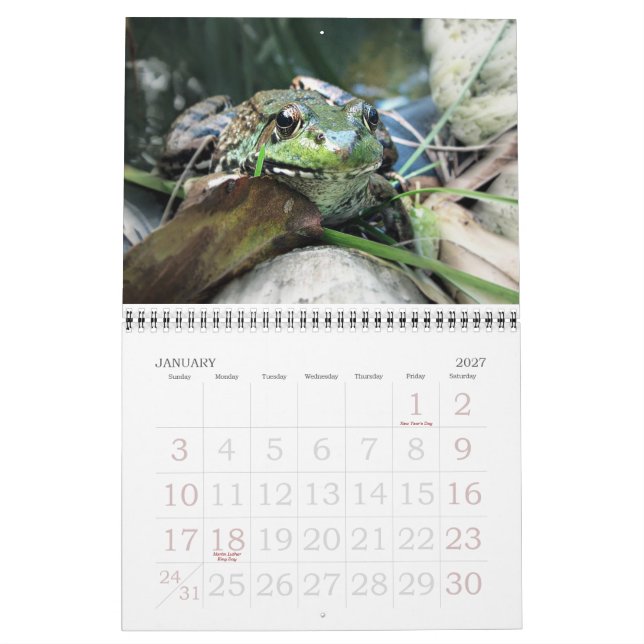 Calendário do Sapo 2015 (Jan 2027)