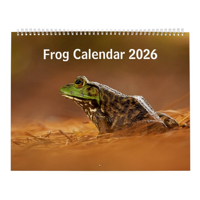 Calendário do sapo 2025 (Capa)