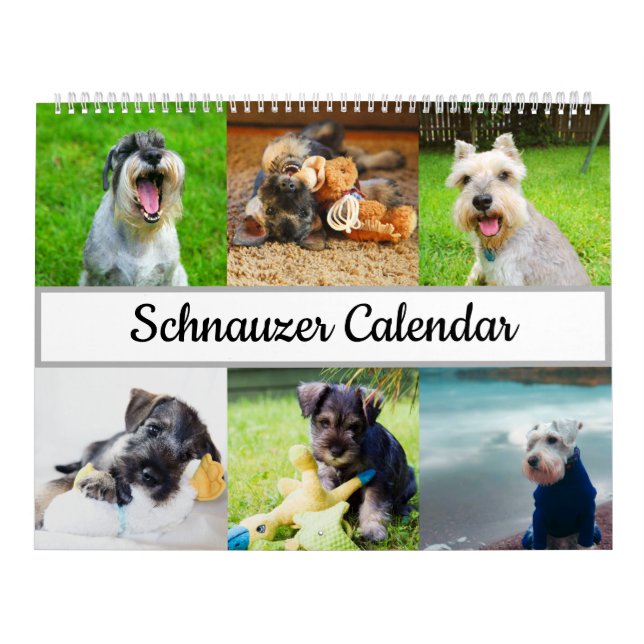Calendário do Schnauzer (Capa)