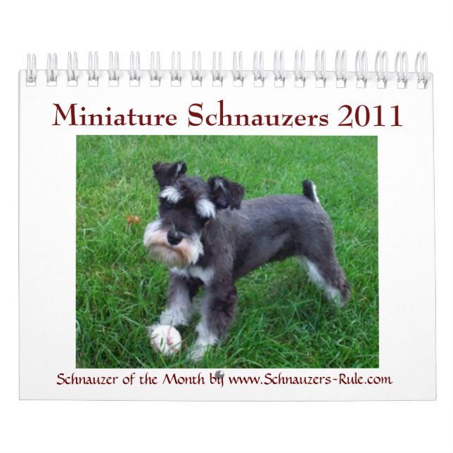 Calendário do Schnauzer 2016 diminuto (Capa)