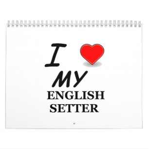 calendário do setter inglês
