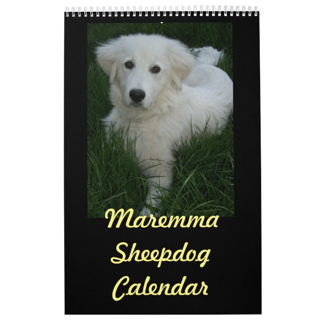 Calendário do Sheepdog de Maremma (Capa)