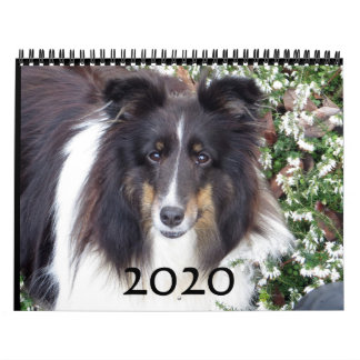 Calendário do Sheltie