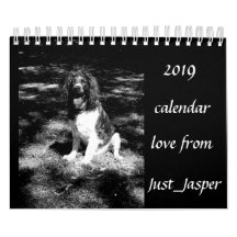Calendário do spaniel de Springer