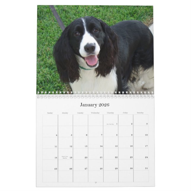 Calendário do Spaniel de Springer inglês 2009 (Jan 2026)