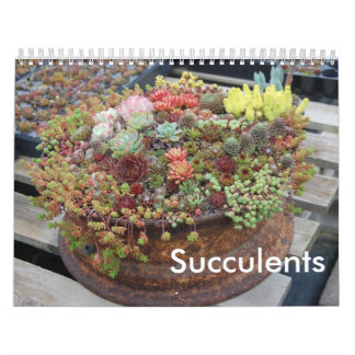 Calendário do Succulent