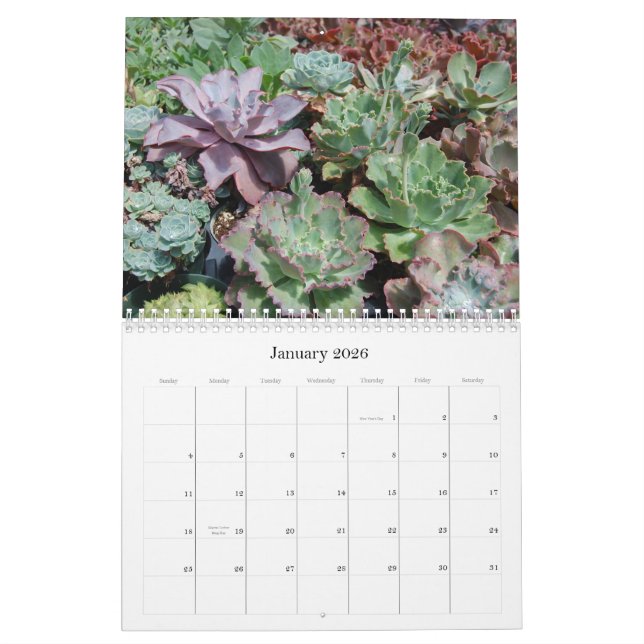 Calendário do Succulent (Jan 2026)