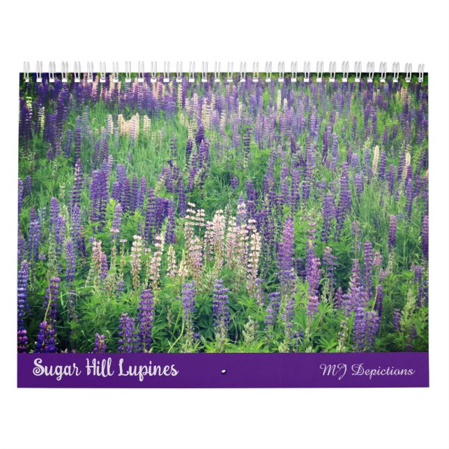 Calendário do Sugar Hill Lupines (Capa)