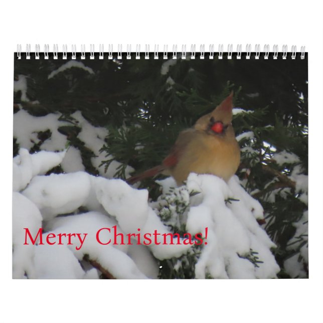 Calendário do Sunset 2025 (Capa)