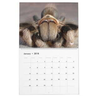 Calendário do Tarantula para 2018
