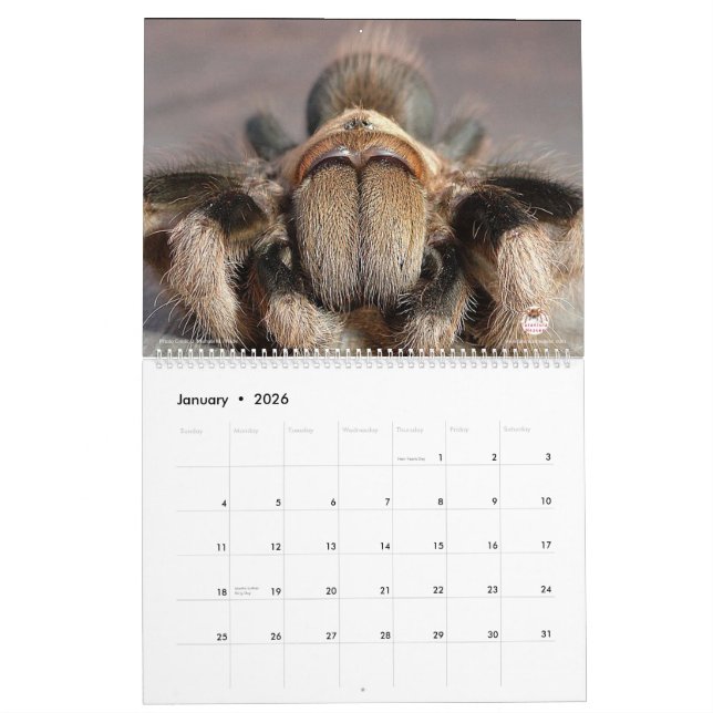 Calendário do Tarantula para 2018 (Jan 2026)