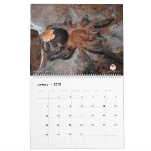 Calendário do Tarantula para 2018