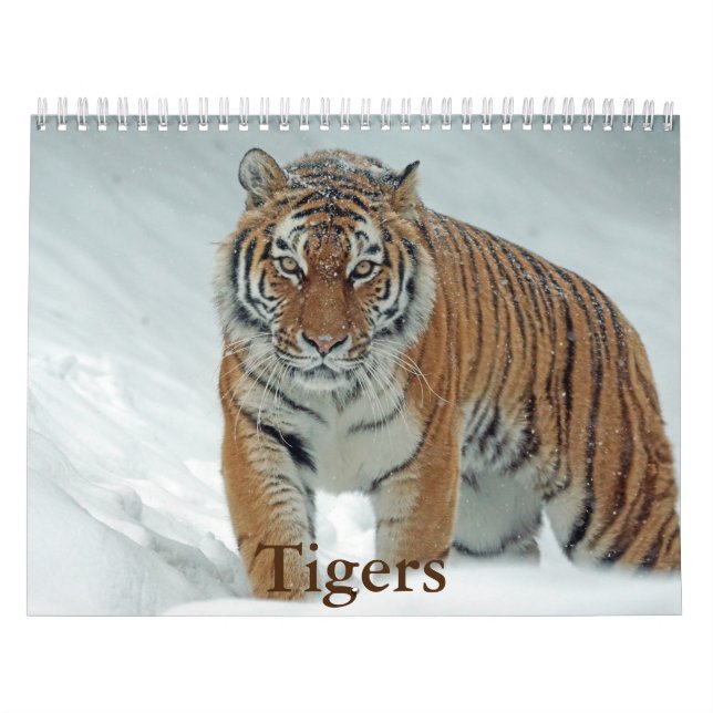 Calendário do Tigre (Capa)