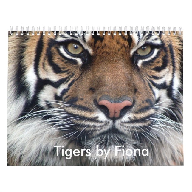 Calendário do tigre (Capa)