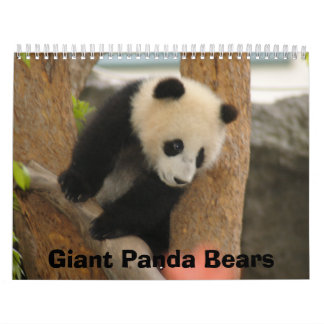 Calendário do urso de panda gigante, ursos de