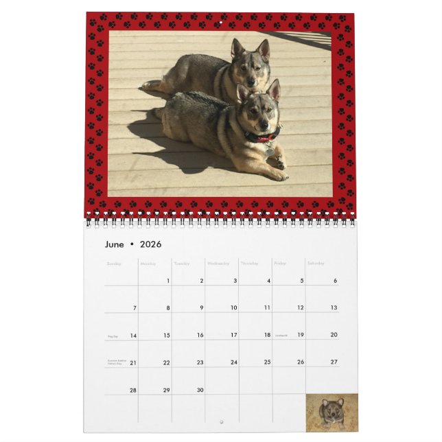 Calendário do Vallhund sueco 2024* (Jun 2026)