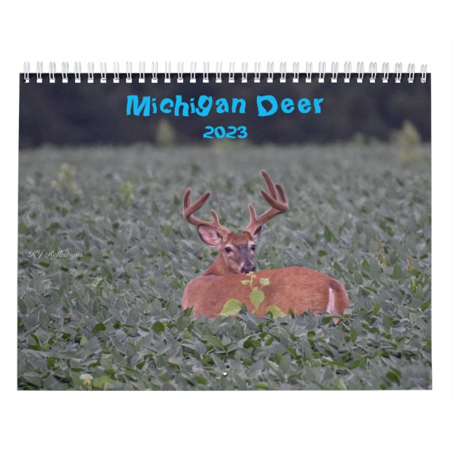 Calendário do Vendedor (Capa)
