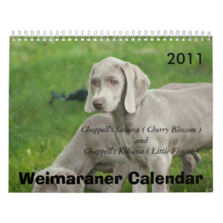 Calendário do Weimaraner