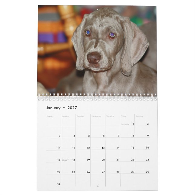 Calendário do Weimaraner (Jan 2027)
