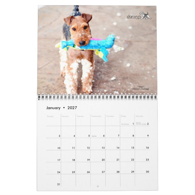Calendário do Welsh Terrier (Jan 2027)