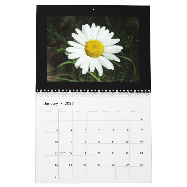Calendário do Wildflower de Idaho (Jan 2027)