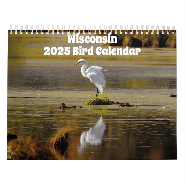 Calendário do Wisconsin Birds 2025 (Capa)