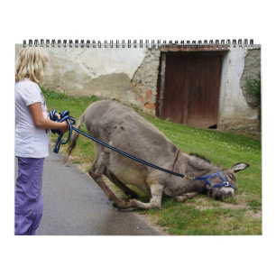 Calendário Doações Doce Todo O Ano 2025