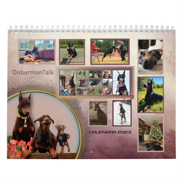 Calendário Dobermantalk 2023 (Capa)