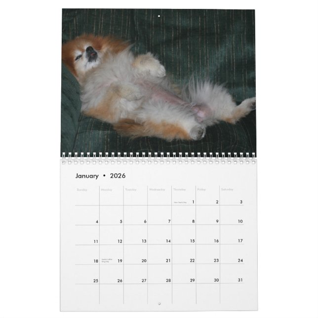 CALENDÁRIO DOCINHO POMERANIAN DA RAINHA (Jan 2026)