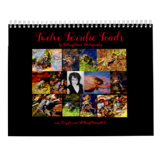 Calendário Doentes do 12° espetáculo