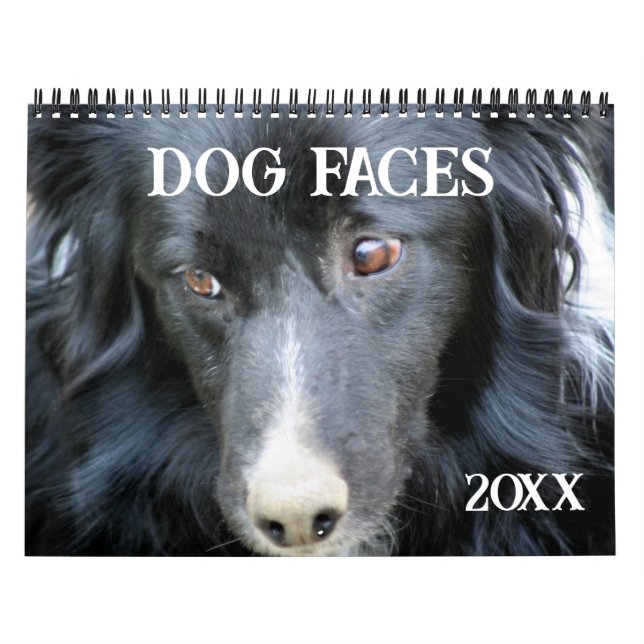 Calendário Dog Faces And Expressions (Capa)